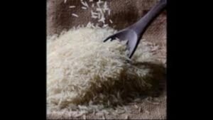 ਪੱਛਮੀ ਏਸ਼ੀਆ ਤਣਾਅ: ਬਾਸਮਤੀ ਦੀਆਂ ਖੇਪਾਂ 'ਫਸੇ', ਬਰਾਮਦਕਾਰਾਂ ਨੇ ਕੇਂਦਰੀ ਸਹਾਇਤਾ ਦੀ ਮੰਗ ਕੀਤੀ