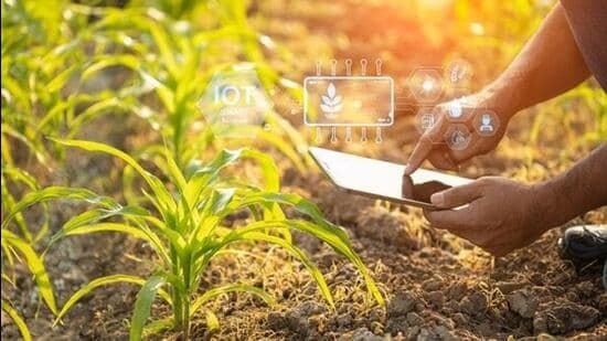 ਮਹਿਮਾਨ ਕਾਲਮ | ਅਸਲੀਅਤ ਵਿੱਚ ਜੜ੍ਹਾਂ, AI ਪੰਜਾਬ ਦੇ ਭਵਿੱਖ ਨੂੰ ਨੈਵੀਗੇਟ ਕਰ ਸਕਦਾ ਹੈ