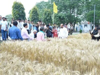 ਮੀਂਹ ਦੇ ਬਾਵਜੂਦ ਦੇਸ਼ ਵਿੱਚ ਕਣਕ ਦਾ ਝਾੜ ਪਿਛਲੇ ਸਾਲ ਦੇ ਟੀਚੇ ਨੂੰ ਪਾਰ ਕਰੇਗਾ: ICAR DG