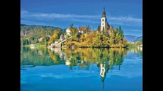 ਸਪਾਈਸ ਆਫ਼ ਲਾਈਫ: ਪੇਕਿੰਗ ਕ੍ਰਮ ਵਿੱਚ, ਮੁਰਗੇ ਸਲੋਵੇਨੀਆ ਵਿੱਚ ਰੂਸਟ ਉੱਤੇ ਰਾਜ ਕਰਦੇ ਹਨ