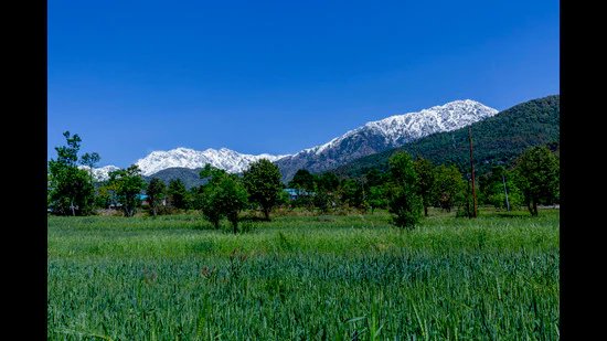 ਸ਼ਿਮਲਾ ‘ਚ 46 ਸਾਲਾਂ ‘ਚ ਅਪ੍ਰੈਲ ਦੀ ਸਭ ਤੋਂ ਠੰਡੀ ਰਾਤ, ਤਾਪਮਾਨ 3.6 ਡਿਗਰੀ ਸੈਲਸੀਅਸ ਤੱਕ ਡਿੱਗ ਗਿਆ