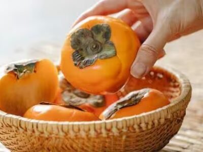 ਸੇਬ ਦੀ ਪੱਟੀ ਤੋਂ ਪਰਸੀਮਨ ਕਲੱਸਟਰਾਂ ਤੱਕ: ਹਿਮਾਚਲ ਬਾਗਬਾਨੀ ਵਿਭਾਗ 5 ਜ਼ਿਲ੍ਹਿਆਂ ਵਿੱਚ ਵਿਦੇਸ਼ੀ ਫਲਾਂ ਦੀ ਕਾਸ਼ਤ ਨੂੰ ਉਤਸ਼ਾਹਿਤ ਕਰ ਰਿਹਾ ਹੈ