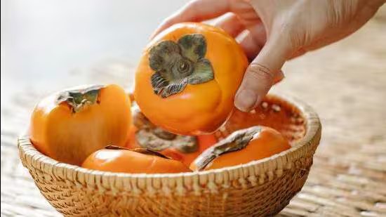 ਸੇਬ ਦੀ ਪੱਟੀ ਤੋਂ ਪਰਸੀਮਨ ਕਲੱਸਟਰਾਂ ਤੱਕ: ਹਿਮਾਚਲ ਬਾਗਬਾਨੀ ਵਿਭਾਗ 5 ਜ਼ਿਲ੍ਹਿਆਂ ਵਿੱਚ ਵਿਦੇਸ਼ੀ ਫਲਾਂ ਦੀ ਕਾਸ਼ਤ ਨੂੰ ਉਤਸ਼ਾਹਿਤ ਕਰ ਰਿਹਾ ਹੈ