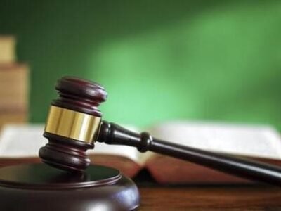 ਹਰਿਆਣਾ 'ਚ ਬਿਨਾਂ ਇਜਾਜ਼ਤ ਦੇ ਕੋਈ ਦਰੱਖਤ ਨਹੀਂ ਕੱਟੇਗਾ: ਹਾਈਕੋਰਟ