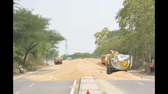 ਹਰਿਆਣਾ ਨੇ ਨਵੇਂ ਬਾਇਓਮੀਟ੍ਰਿਕ ਨਿਯਮਾਂ, ਟਰੈਕਟਰ ਐਂਟਰੀ ਜਾਂਚ ਨਾਲ ਕਣਕ ਦੀ ਖਰੀਦ ਸ਼ੁਰੂ ਕੀਤੀ