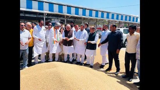 ਹਰਿਆਣਾ: ਮੀਂਹ ਕਾਰਨ ਵਾਢੀ ਵਿੱਚ ਦੇਰੀ ਹੋਣ ਕਾਰਨ ਕਣਕ ਦੀ ਆਮਦ ਸੁਸਤ ਰਹੀ