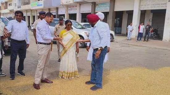 ਹਰਿਆਣਾ ਵਿੱਚ ਕਣਕ ਦੀ ਖਰੀਦ ਸ਼ੁਰੂ ਹੋ ਗਈ ਹੈ