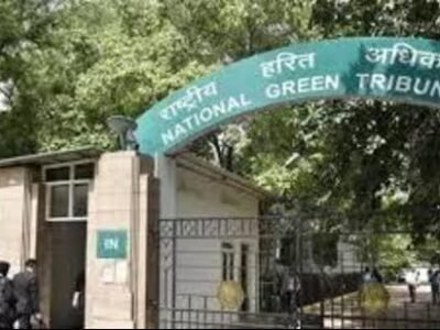 NGT ਨੇ ਵਾਤਾਵਰਣ ਮੁਆਵਜ਼ੇ ਦੀ ਬਕਾਇਆ ਵਸੂਲੀ ਨੂੰ ਲੈ ਕੇ ਹਰਿਆਣਾ ਸਰਕਾਰ ਦੀ ਖਿਚਾਈ ਕੀਤੀ