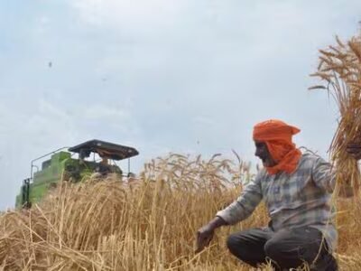 ਮਹਿਮਾਨ ਕਾਲਮ | ਅਨਾਜ ਤੋਂ ਪਰੇ: ਪੰਜਾਬ ਨੂੰ ਨਵੀਂ ਹਰੀ ਕ੍ਰਾਂਤੀ ਦੀ ਲੋੜ ਹੈ