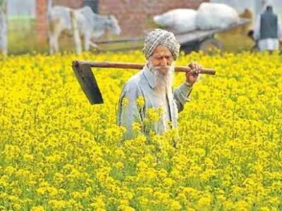 ਮਹਿਮਾਨ ਕਾਲਮ | ਪੰਜਾਬ ਦੀ ਖੇਤੀ ਵਿਭਿੰਨਤਾ ਨੂੰ ਰੋਕਣ ਵਾਲੀ ਨੀਤੀ, ਕਿਸਾਨੀ ਨਹੀਂ