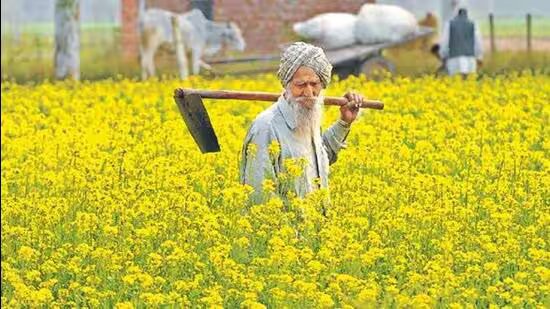 ਮਹਿਮਾਨ ਕਾਲਮ | ਪੰਜਾਬ ਦੀ ਖੇਤੀ ਵਿਭਿੰਨਤਾ ਨੂੰ ਰੋਕਣ ਵਾਲੀ ਨੀਤੀ, ਕਿਸਾਨੀ ਨਹੀਂ