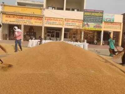 ਹਰਿਆਣਾ: ਕਣਕ ਦੀ ਆਮਦ 72 ਲੱਖ ਮੀਟਰਕ ਟਨ ਦੇ ਪਾਰ ਹੋਣ ਕਾਰਨ ਜਾਅਲੀ ਖਰੀਦ ਦਾ ਸ਼ੱਕ