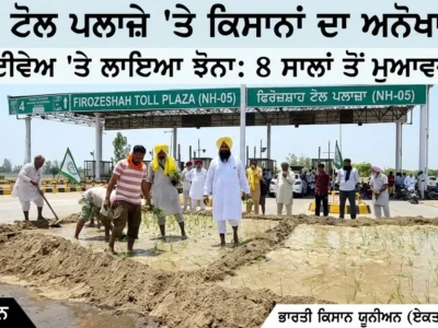 ਫਿਰੋਜ਼ਪੁਰ ਟੋਲ ਪਲਾਜ਼ੇ 'ਤੇ ਕਿਸਾਨਾਂ ਨੇ ਲਾਇਆ ਝੋਨਾ, 8 ਸਾਲਾਂ ਤੋਂ ਮੁਆਵਜ਼ੇ ਦੀ ਉਡੀਕ
