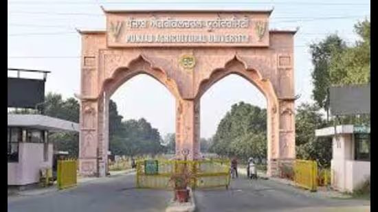ਐਲ ਨੀਨੋ ਦੇ ਸੰਕੇਤਾਂ ਦੇ ਉਭਰਦੇ ਹੋਏ, ਪੀਏਯੂ ਦੇ ਮਾਹਿਰਾਂ ਨੇ ਪੰਜਾਬ ਵਿੱਚ ਜਲਵਾਯੂ-ਸਮਾਰਟ ਖੇਤੀ ਦੀ ਮੰਗ ਕੀਤੀ