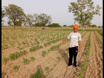 ਪੰਜਾਬ ਸਰਕਾਰ ਦੀ 33% ਕਪਾਹ ਦੇ ਬੀਜ ਸਬਸਿਡੀ ਨੂੰ ਹੁੰਗਾਰਾ ਨਹੀਂ ਮਿਲਿਆ