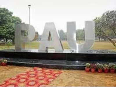 ਲੁਧਿਆਣਾ: ਪੀਏਯੂ ਨੇ ਕਿਸਾਨਾਂ ਨੂੰ ਨੈੱਟ, ਪੋਲੀਹਾਊਸ ਵਿੱਚ ਲੁਕੇ ਕੀੜਿਆਂ ਵਿਰੁੱਧ ਚੇਤਾਵਨੀ ਦਿੱਤੀ ਹੈ