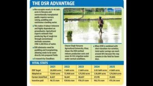 Hindustan Times News