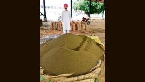 ਪੰਜਾਬ ਦੇ ਕਿਸਾਨ ਲਗਾਤਾਰ ਚੌਥੇ ਸੀਜ਼ਨ ਲਈ ਘੱਟੋ-ਘੱਟ ਸਮਰਥਨ ਮੁੱਲ ਤੋਂ ਘੱਟ ਮੂੰਗੀ ਵੇਚਣ ਲਈ ਮਜਬੂਰ ਹਨ