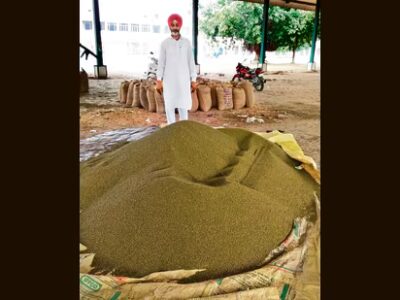 ਪੰਜਾਬ ਦੇ ਕਿਸਾਨ ਲਗਾਤਾਰ ਚੌਥੇ ਸੀਜ਼ਨ ਲਈ ਘੱਟੋ-ਘੱਟ ਸਮਰਥਨ ਮੁੱਲ ਤੋਂ ਘੱਟ ਮੂੰਗੀ ਵੇਚਣ ਲਈ ਮਜਬੂਰ ਹਨ