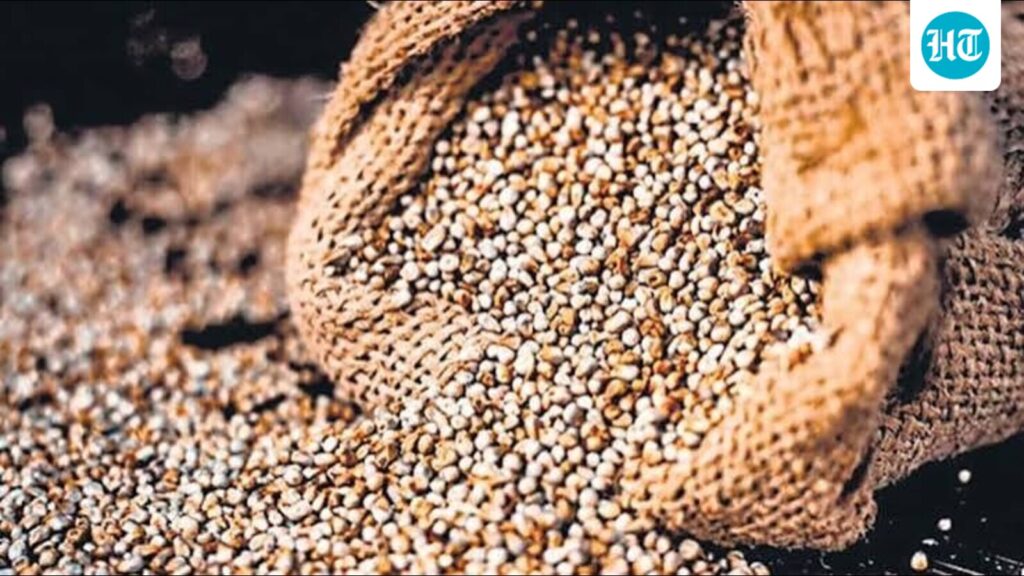 ਬਾਜਰੇ ਦੇ ਹਾਈਬ੍ਰਿਡ ਦੀ ਸਪਲਾਈ ਵਧਾਉਣ ਲਈ ਹਿਸਾਰ ਖੇਤੀ ਯੂਨੀਵਰਸਿਟੀ