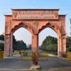 ਲੁਧਿਆਣਾ: ਪੀਏਯੂ ਦੇ ਮਾਹਿਰਾਂ ਨੇ ਬੇਬੀ ਕੌਰਨ ਨੂੰ ਝੋਨੇ ਦਾ ਲਾਹੇਵੰਦ ਬਦਲ ਦੱਸਿਆ ਹੈ