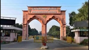 ਲੁਧਿਆਣਾ: ਪੀਏਯੂ ਦੇ ਮਾਹਿਰਾਂ ਨੇ ਬੇਬੀ ਕੌਰਨ ਨੂੰ ਝੋਨੇ ਦਾ ਲਾਹੇਵੰਦ ਬਦਲ ਦੱਸਿਆ ਹੈ