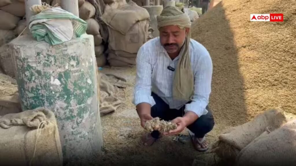 ਫਾਜ਼ਿਲਕਾ: ਅਨਾਜ ਮੰਡੀ ‘ਚ ਮੀਂਹ ਕਾਰਨ 2500 ਕੁਇੰਟਲ ਝੋਨਾ ਹੋਇਆ ਸਵਾਹ, ਮੁਆਵਜ਼ੇ ਦੀ ਮੰਗ